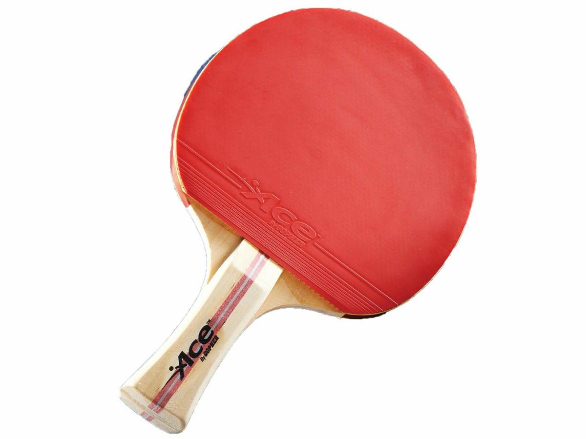 Gopher Ace 1 Star Table Tennis Paddle | Table Tennis Paddles Table Tennis Table Tennis Paddles